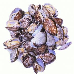 Frozen Clams 熟啦啦 500g