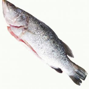 Seabass Fish 金目卢 ±600g